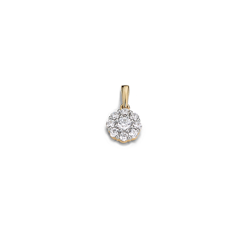 Anhänger 333/- Gelbgold Zirkonia