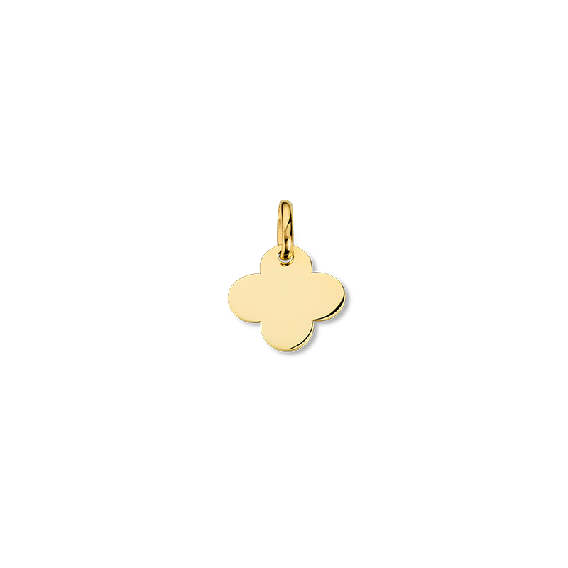 Anhänger 333/- Gelbgold
