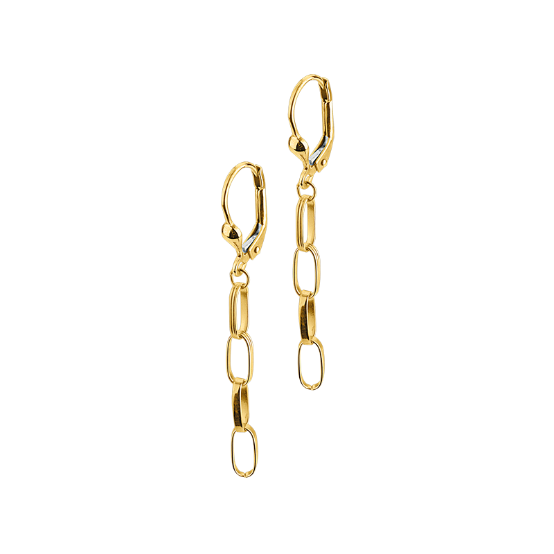 Ohrhänger 333/- Gelbgold